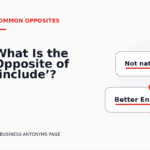 What Is the Opposite of ‘include’?