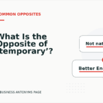 What Is the Opposite of ‘temporary’?