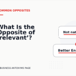 What Is the Opposite of ‘relevant’?